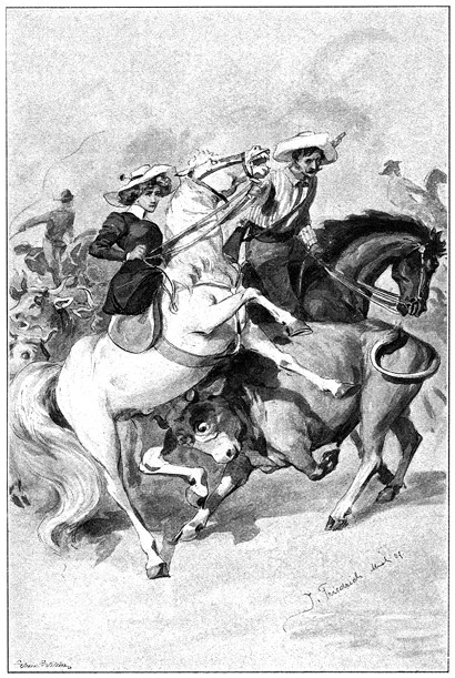 Иллюстрация к книге — Этюд в багровых тонах. Приключения Шерлока Холмса [i_019.webp]