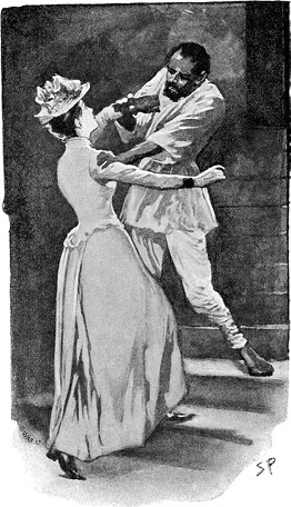 Иллюстрация к книге — Этюд в багровых тонах. Приключения Шерлока Холмса [i_076.webp]