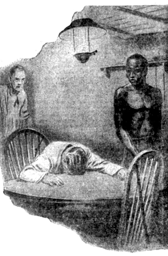 Иллюстрация к книге — Смерть на жемчужной ферме [i_001.webp]