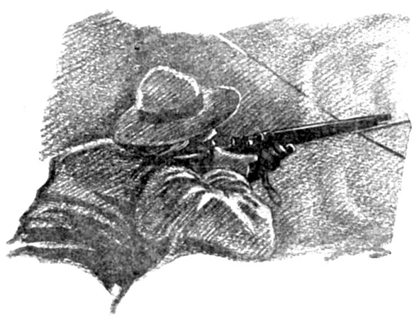 Иллюстрация к книге — Смерть на жемчужной ферме [i_005.webp]