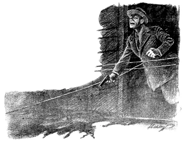 Иллюстрация к книге — Смерть на жемчужной ферме [i_006.webp]