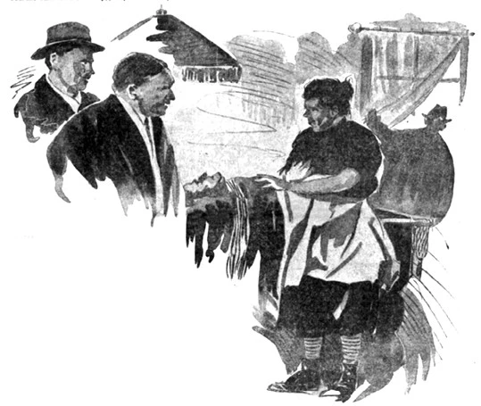 Иллюстрация к книге — Смерть на жемчужной ферме [i_008.webp]