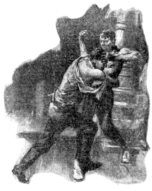 Иллюстрация к книге — Смерть на жемчужной ферме [i_011.webp]