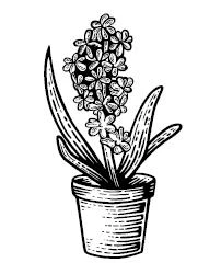 Иллюстрация к книге — Что дальше, миссис Норидж? [i_001.webp]