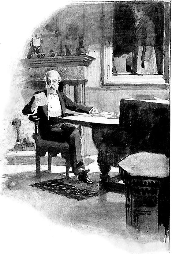 Иллюстрация к книге — Друг вице-короля, или Король мошенников [i_005.webp]