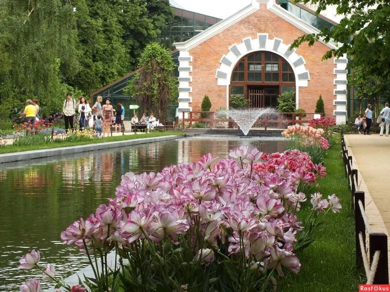 Иллюстрация к книге — Аптекарский огород попаданки [3441838f-8918-461f-9d60-a58485f9d409.webp]