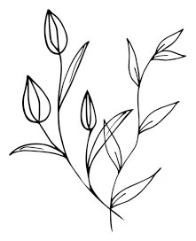 Иллюстрация к книге — Девушка из Монтаны [i_002.webp]