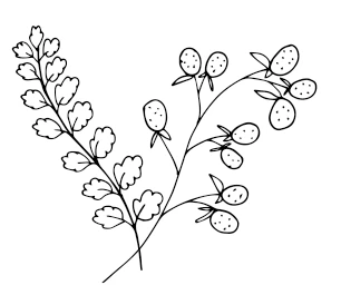 Иллюстрация к книге — Девушка из Монтаны [i_009.webp]