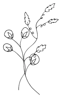 Иллюстрация к книге — Девушка из Монтаны [i_010.webp]