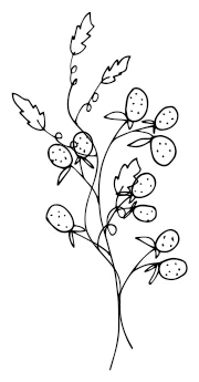 Иллюстрация к книге — Девушка из Монтаны [i_011.webp]