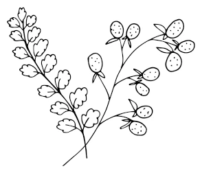 Иллюстрация к книге — Девушка из Монтаны [i_012.webp]