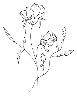 Иллюстрация к книге — Девушка из Монтаны [i_015.webp]