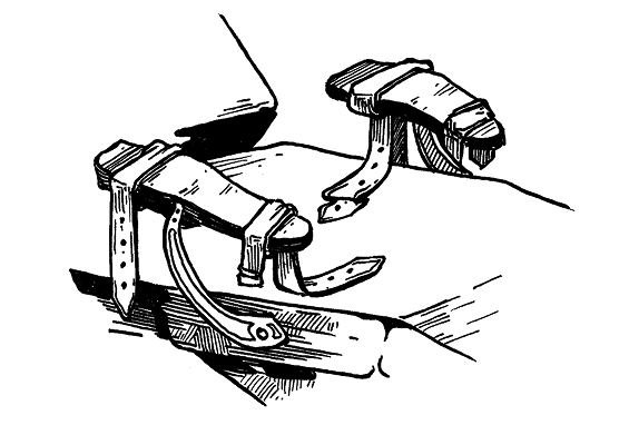 Иллюстрация к книге — Макбет [i_006.webp]