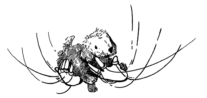 Иллюстрация к книге — Макбет [i_007.webp]