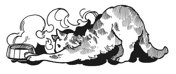 Иллюстрация к книге — Жюльен [litres] [i_003.webp]