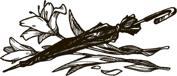 Иллюстрация к книге — Гумберт Гумберт [i_001.webp]