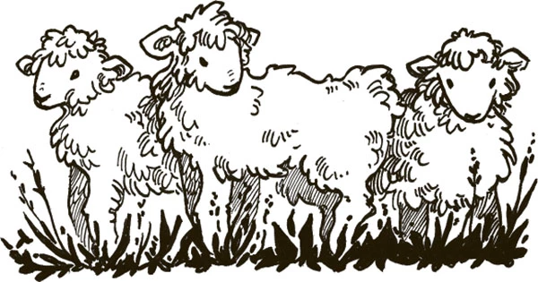 Иллюстрация к книге — Гумберт Гумберт [i_005.webp]