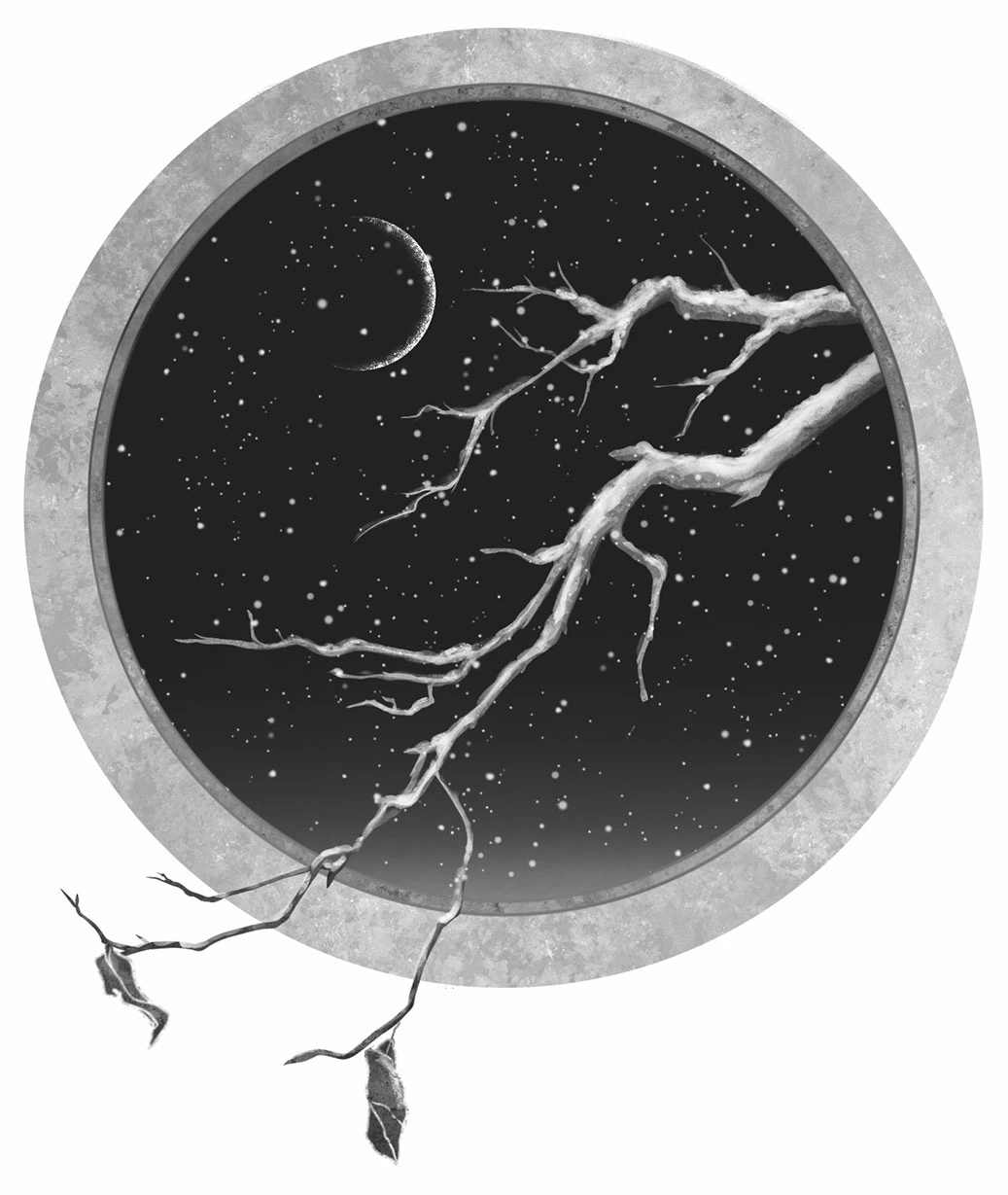 Иллюстрация к книге — Топить в огне бушующем печали. Том 1 [i_007.webp]