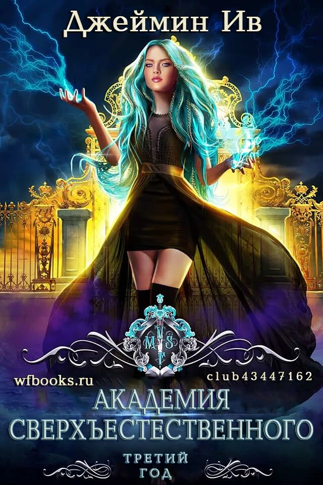 Книга Третий Год