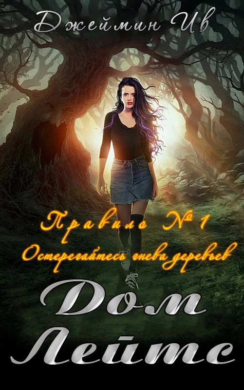 Книга Дом Лейтс