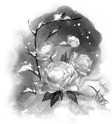 Иллюстрация к книге — Цветы пиона на снегу. Том 2 [i_001.webp]