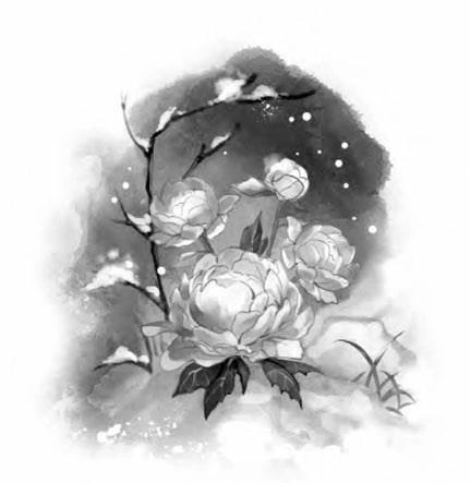 Иллюстрация к книге — Цветы пиона на снегу. Том 3 [i_002.webp]