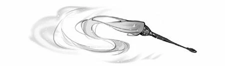 Иллюстрация к книге — Цветы пиона на снегу. Том 3 [i_007.webp]