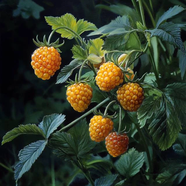 Иллюстрация к книге — Хозяйка пасеки. Медовый бизнес попаданки [f88032cf-6cc1-473a-8bea-8a4a377bcdb4.webp]