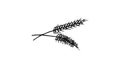 Иллюстрация к книге — Братство пекарей и магов [i_032.webp]