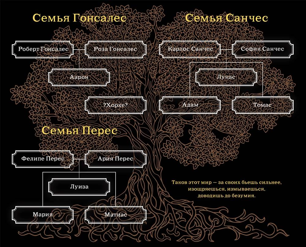 Иллюстрация к книге — Сердце Тайфуна [i_001.webp]