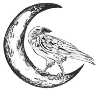 Иллюстрация к книге — Нити Дочерей Ночи [i_012.webp]