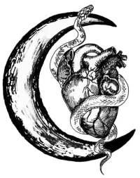 Иллюстрация к книге — Золотая нить богини [i_020.webp]