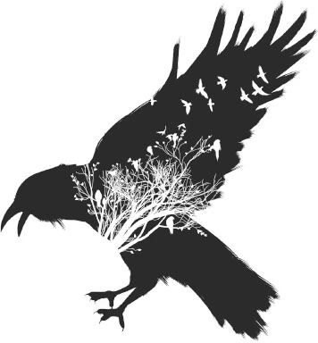 Иллюстрация к книге — Бессмертные Вороны [i_003.webp]