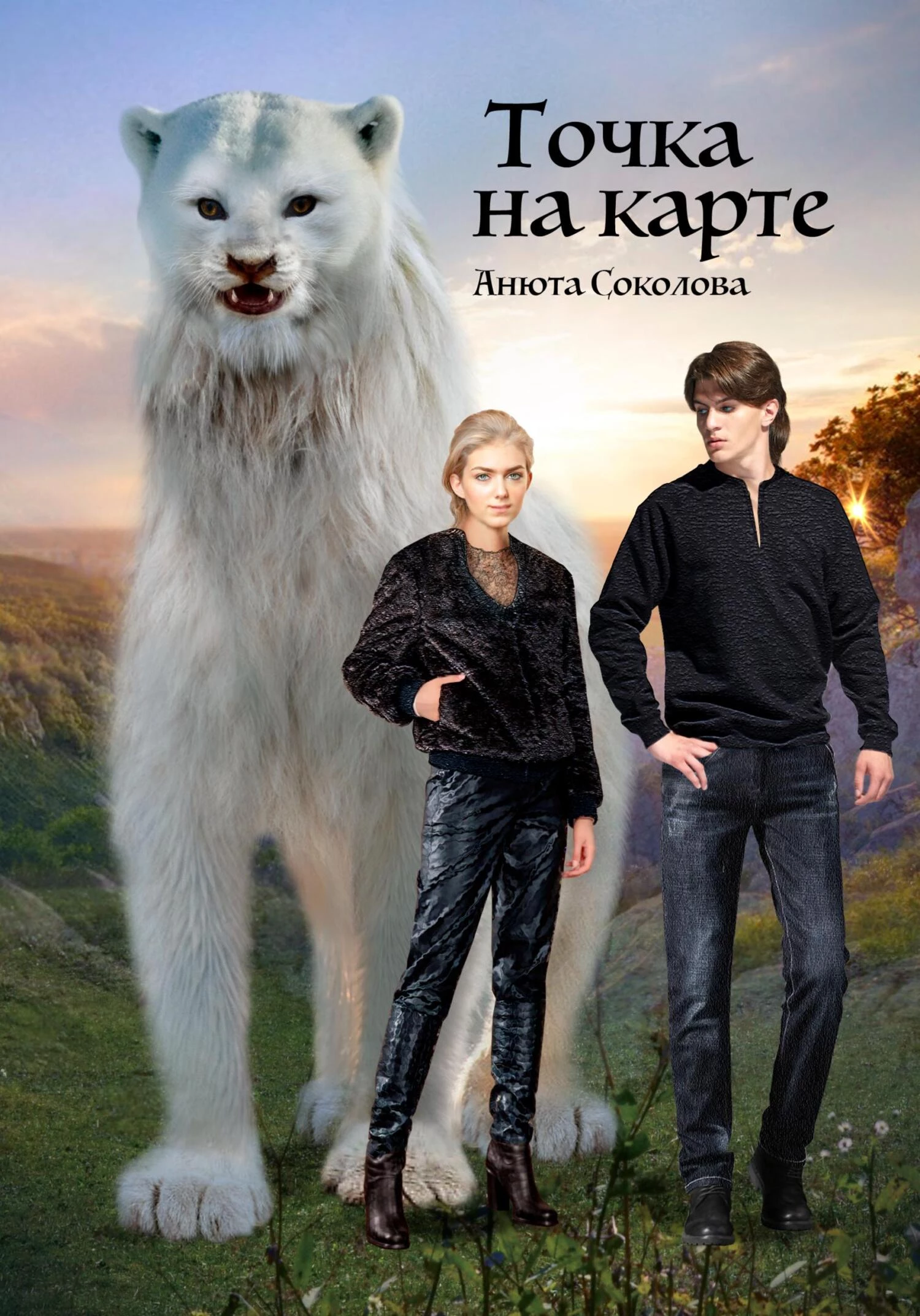 Книга Точка на карте