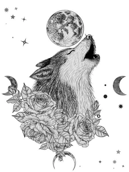 Иллюстрация к книге — Волк одичал [i_002.webp]