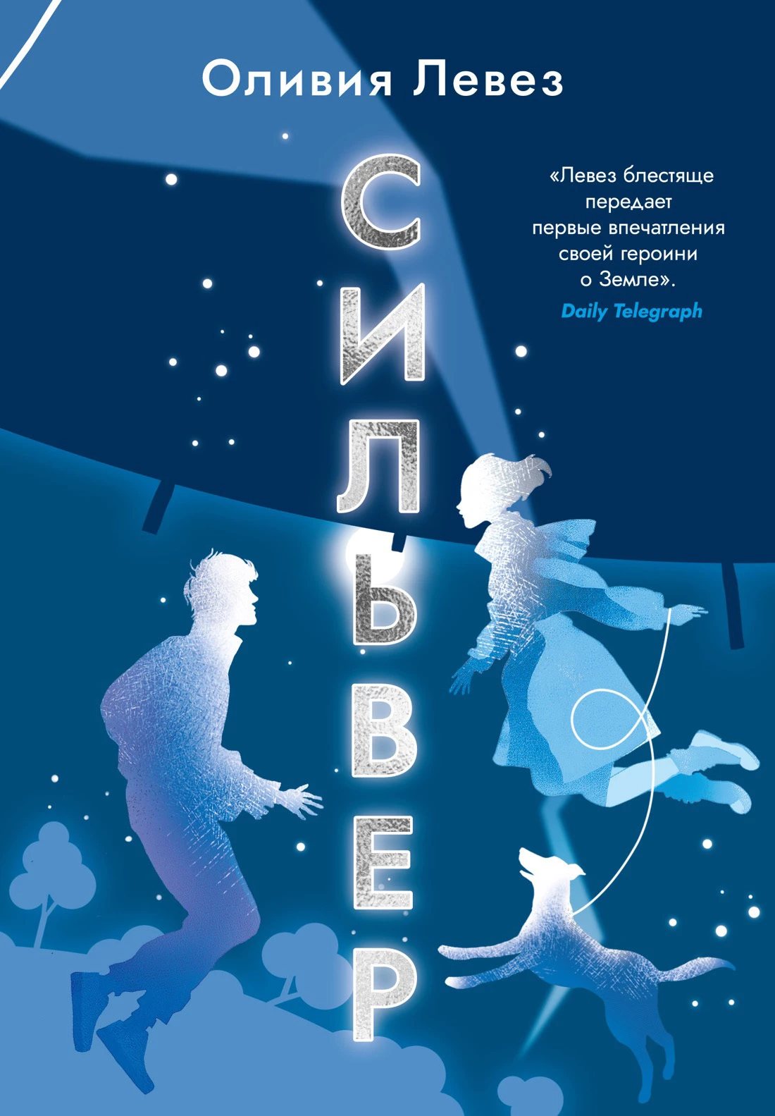 Книга Сильвер