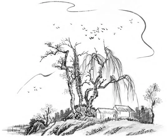 Иллюстрация к книге — Последний дракон Востока. В нитях любви [i_033.webp]