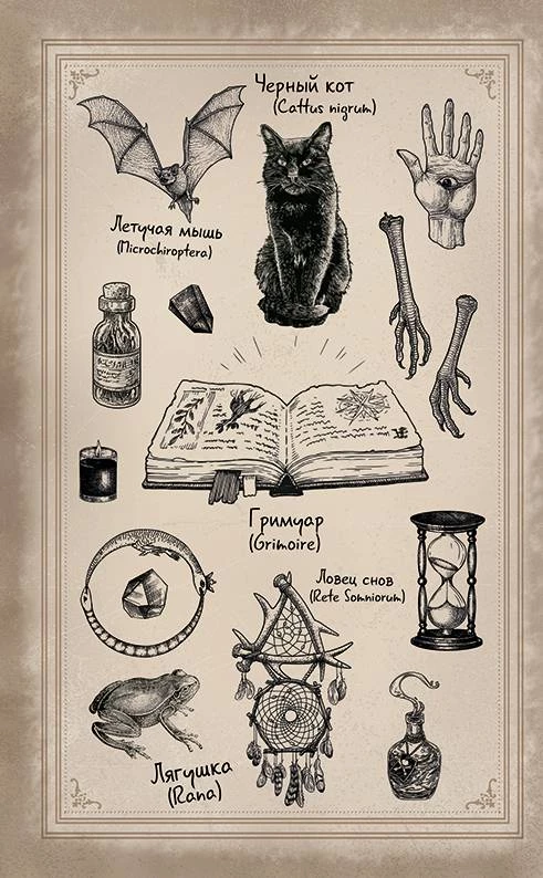 Иллюстрация к книге — Волшебная лавка Софи. Артефакт для наследницы [i_004.webp]