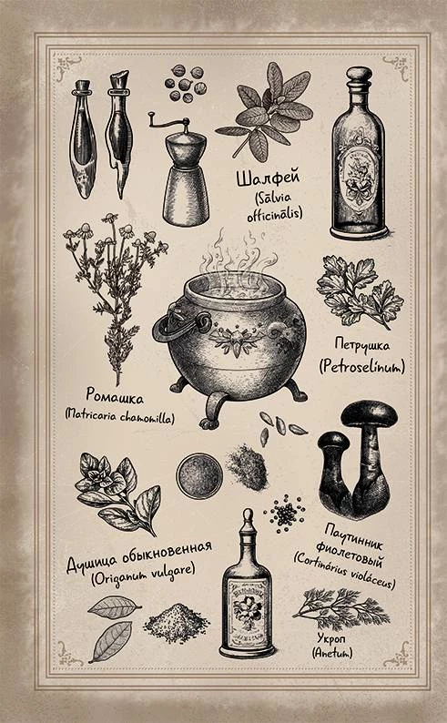 Иллюстрация к книге — Волшебная лавка Софи. Артефакт для наследницы [i_006.webp]