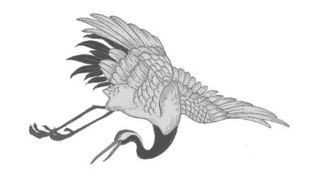 Иллюстрация к книге — Журавли летят на запад [i_003.webp]