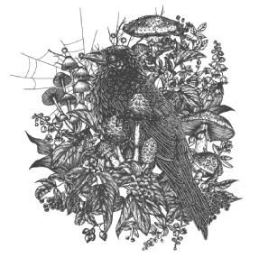 Иллюстрация к книге — Присяга фортуны [i_004.webp]