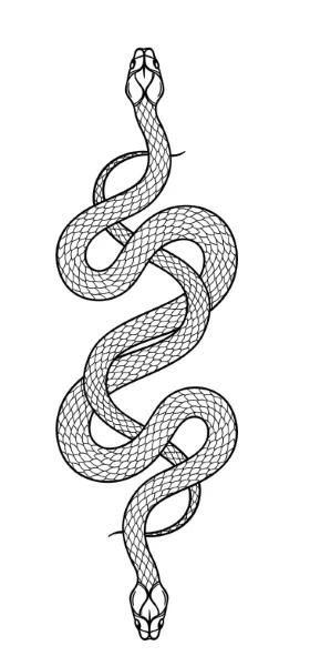 Иллюстрация к книге — Змеиное братство [i_001.webp]