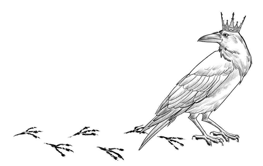 Иллюстрация к книге — Спи, милый принц [i_007.webp]