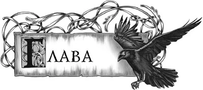 Иллюстрация к книге — Пробуждение Тьмы [i_023.webp]