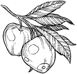 Иллюстрация к книге — И жили они долго и счастливо [i_006.webp]