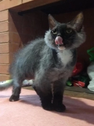 Иллюстрация к книге — Мой азиатский принц 2 [i_003.webp]