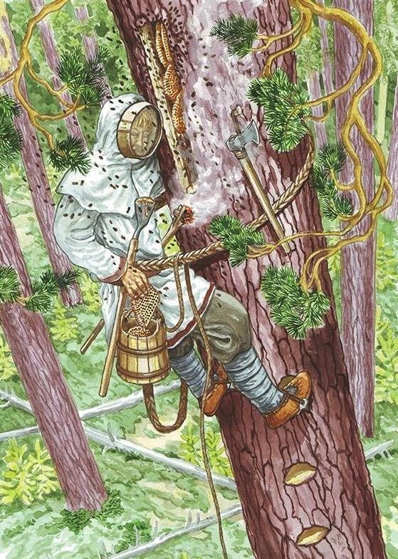 'Иллюстрация