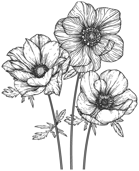 Иллюстрация к книге — Папа, я против этого брака! Том 2 [i_007.webp]