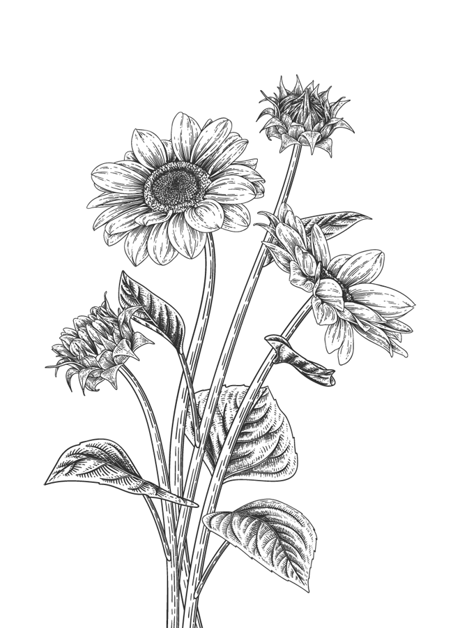 Иллюстрация к книге — Папа, я против этого брака! Том 2 [i_010.webp]