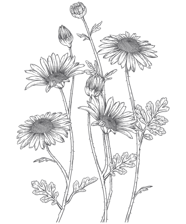 Иллюстрация к книге — Папа, я против этого брака! Том 1 [i_007.webp]